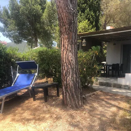 Sterlizia Apartment