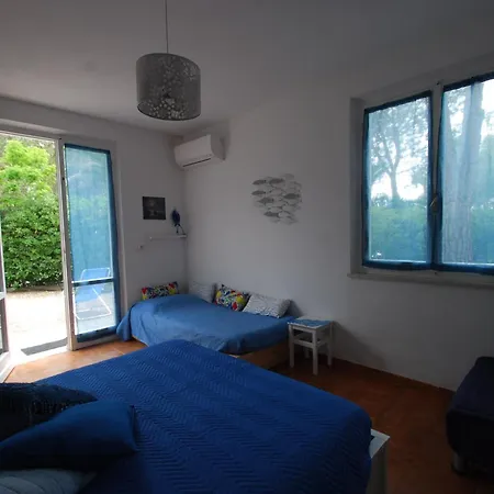 Apartment Sterlizia